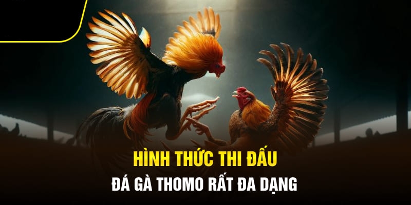 Đa dạng các thể loại thi đấu hấp dẫn