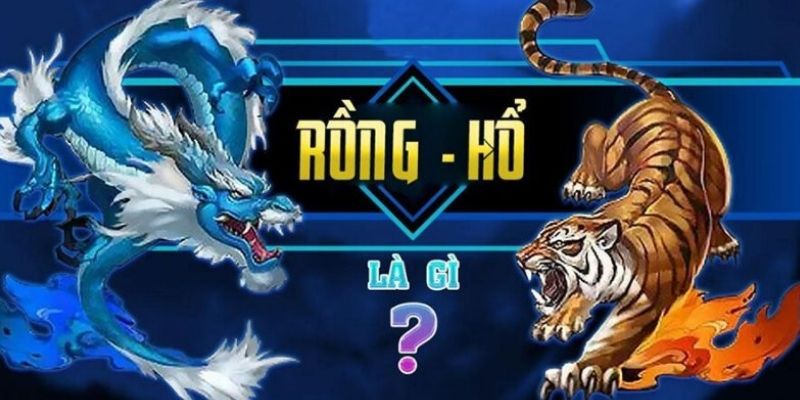 Đôi nét về nguồn gốc xuất xứ của game bài Rồng Hổ 